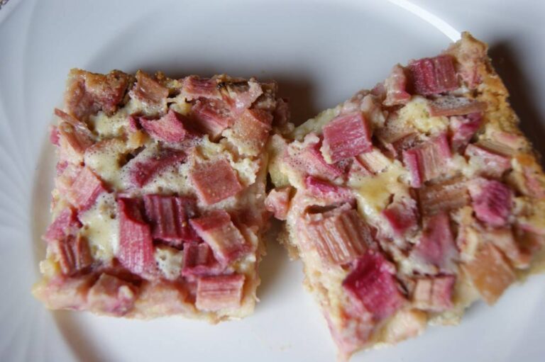 Rhubarb Custard Bars