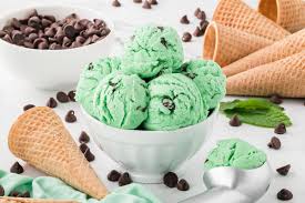 Homemade Mint Chocolate Chip Ice Cream – Creamy, Refreshing, and Better Than Store-Bought