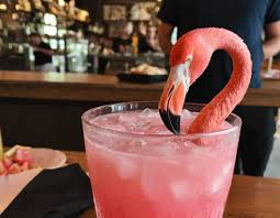 Electric Flamingo Drink