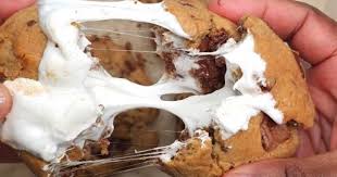 🍪🔥 Cookie Butter S’mores ✨